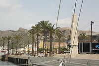 IMG_2335