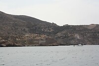 IMG_2350