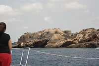 IMG_2364