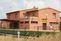 IMG_2394