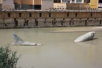 IMG_2427