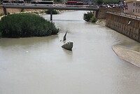 IMG_2428