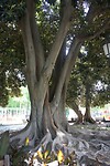 IMG_2432