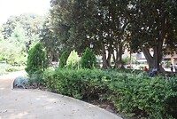IMG_2433