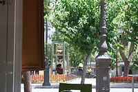 IMG_2435