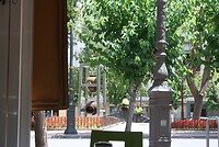 IMG_2436