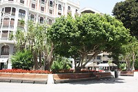 IMG_2440