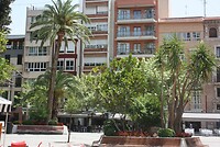 IMG_2441