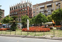 IMG_2492