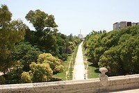 IMG_2497