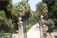 IMG_2500