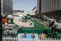 IMG_2501