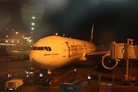 IMG_2608