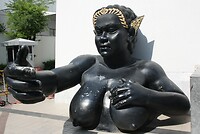 IMG_2620
