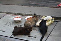 IMG_2627