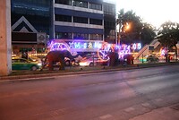 IMG_2635
