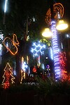 IMG_2637