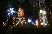IMG_2638