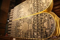 IMG_2779