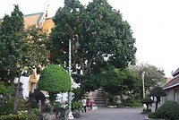IMG_2785