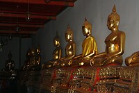 IMG_2796