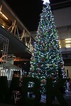 IMG_2857