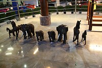 IMG_2858