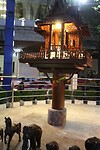 IMG_2859