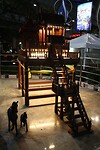 IMG_2860