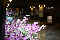 IMG_2870