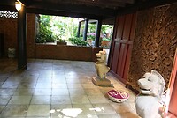 IMG_2871