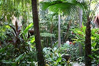 IMG_2874