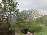 1000006973