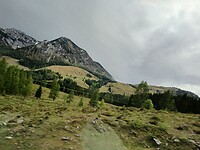 1000007156
