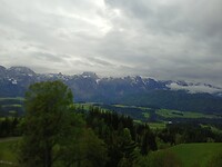 1000007166