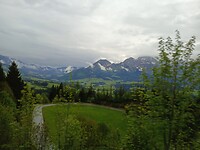 1000007167