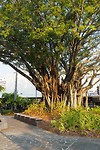 Boom in Cairns