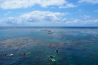 Het reef