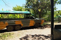Duck tour