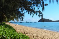 Palm Cove strand