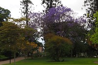 Botanische tuin centrum