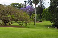 Botanische tuin centrum