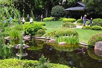 Japanse tuin