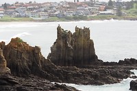 Cathedral Rocks