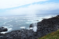 Little Blowhole