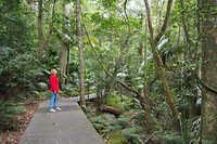 Dora in het oerwoud
