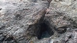 Blow hole bij Kiama