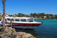 Boot voor walvis zoektocht vanuit Huskisson