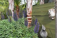 De tuin van onze B&B
