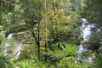 Triplet Falls